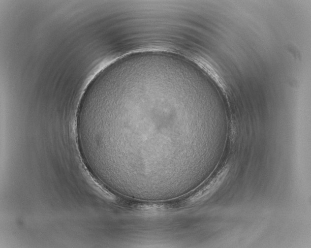 X0000115450797200911251305