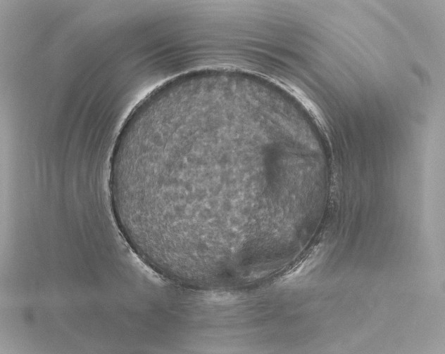 X0000115450799200911251305