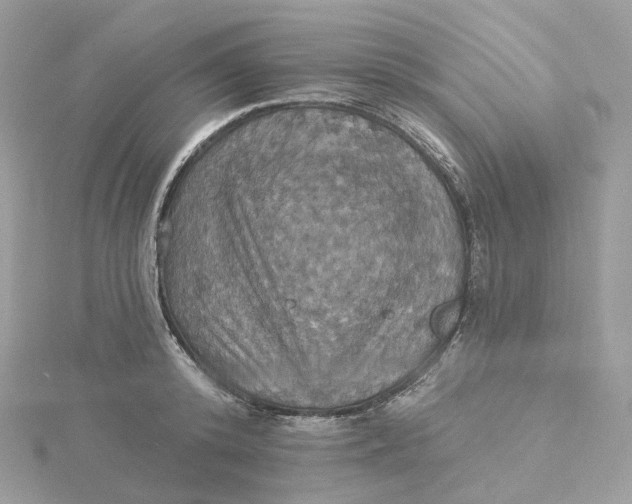 X0000115450800200911251305