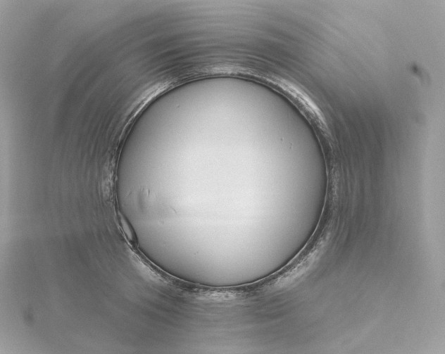 X0000115450801200911251305