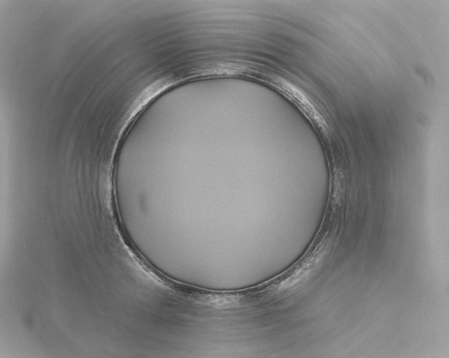 X0000115450802200911251305