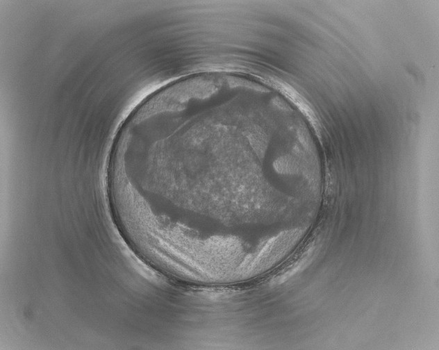 X0000115450803200911251305