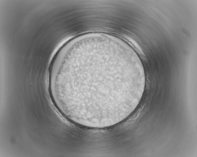 X0000115450804200911251305