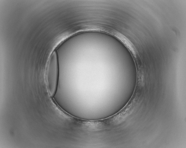 X0000115450805200911251305