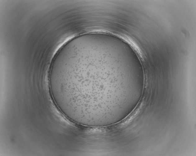 X0000115450806200911251305