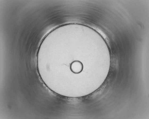 X0000115450807200911251305