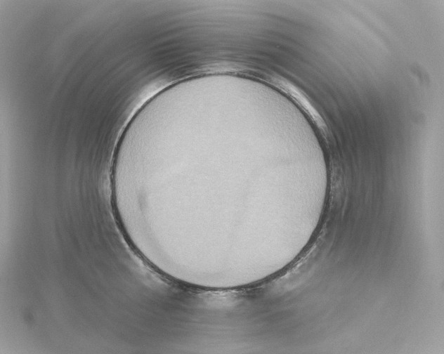 X0000115450810200911251305