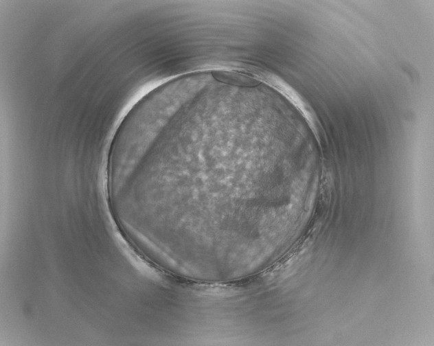 X0000115450811200911251305