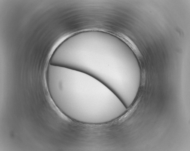 X0000115450812200911251305