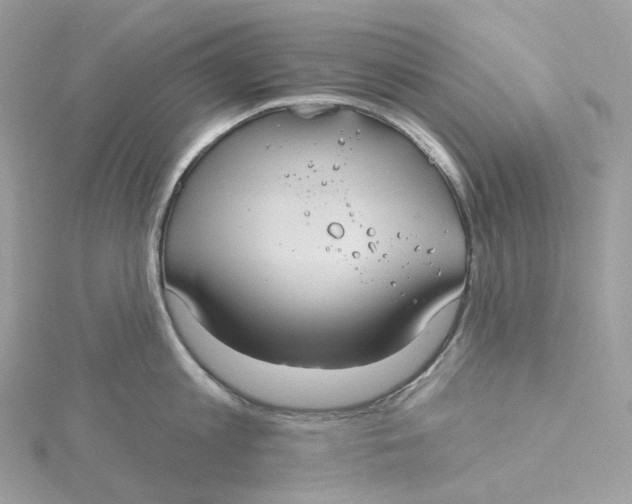 X0000115450813200911251305