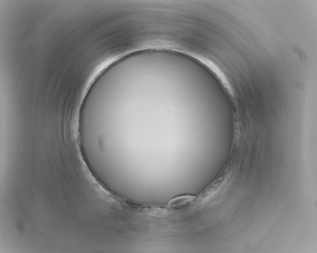 X0000115450815200911251305