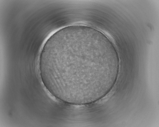 X0000115450816200911251305