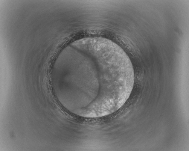 X0000115450817200911251305