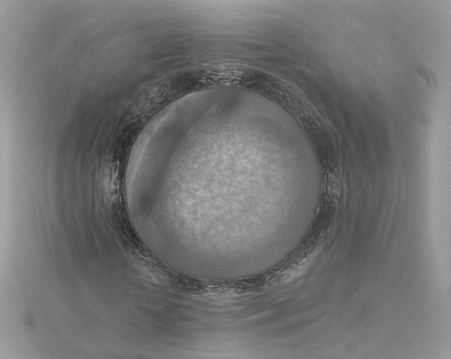 X0000115450818200911251305