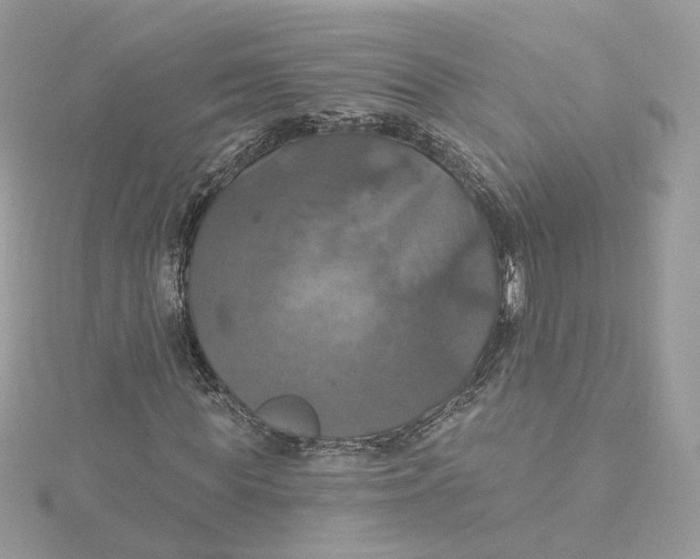 X0000115450819200911251305