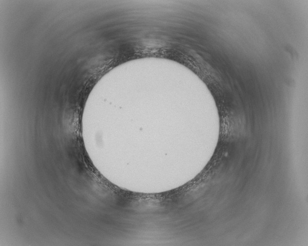 X0000115450820200911251305