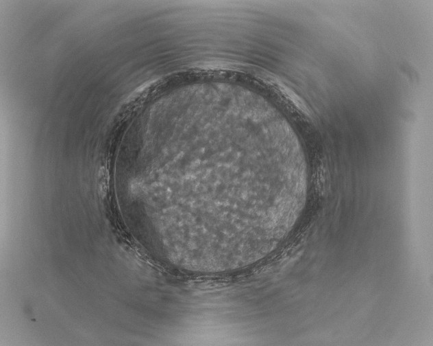 X0000115450821200911251305