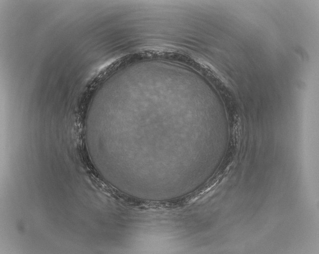 X0000115450822200911251305