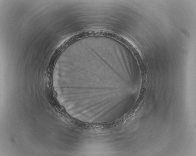 X0000115450823200911251305