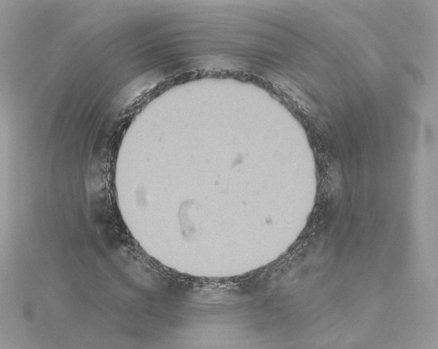 X0000115450824200911251305