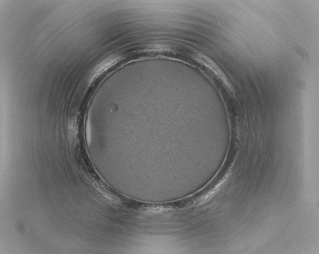 X0000115450826200911251305