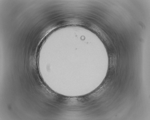 X0000115450828200911251305