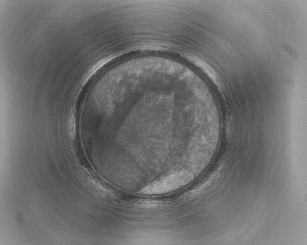 X0000115450829200911251305