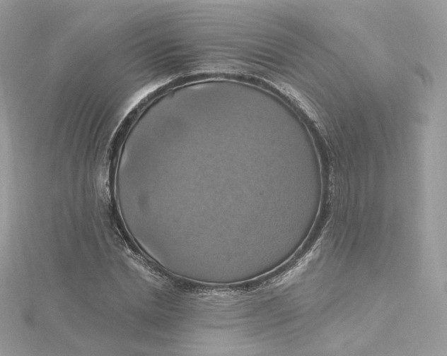 X0000115450830200911251305