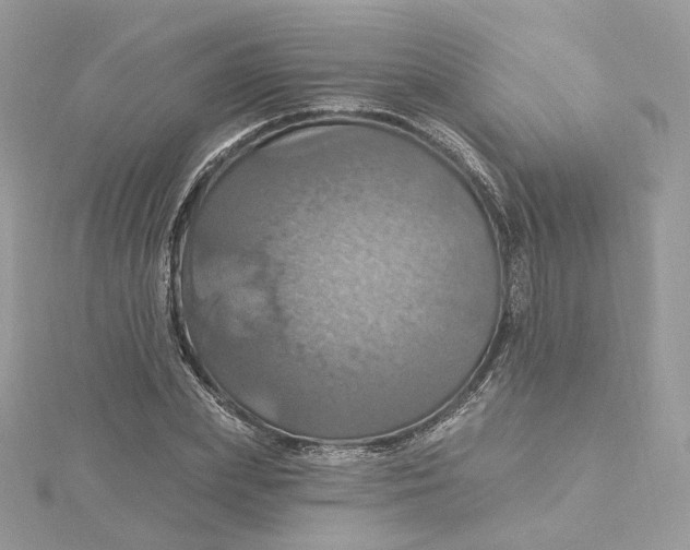 X0000115450831200911251305