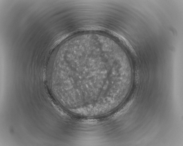 X0000115450833200911251305