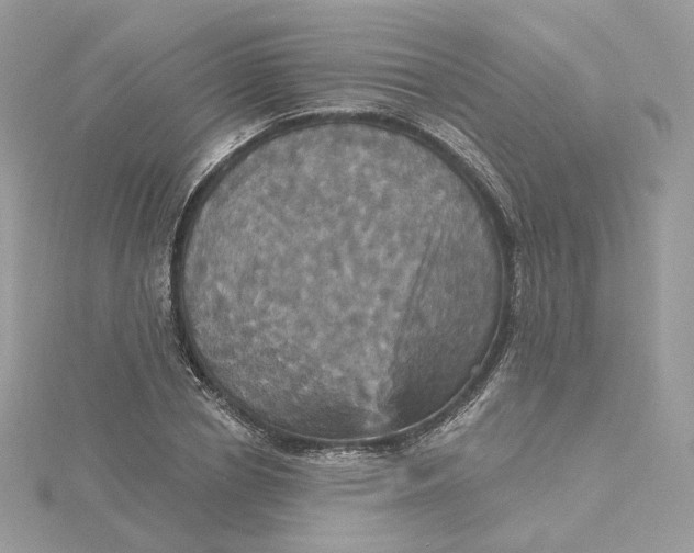 X0000115450834200911251305