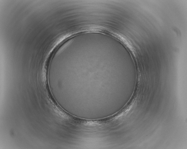 X0000115450835200911251305