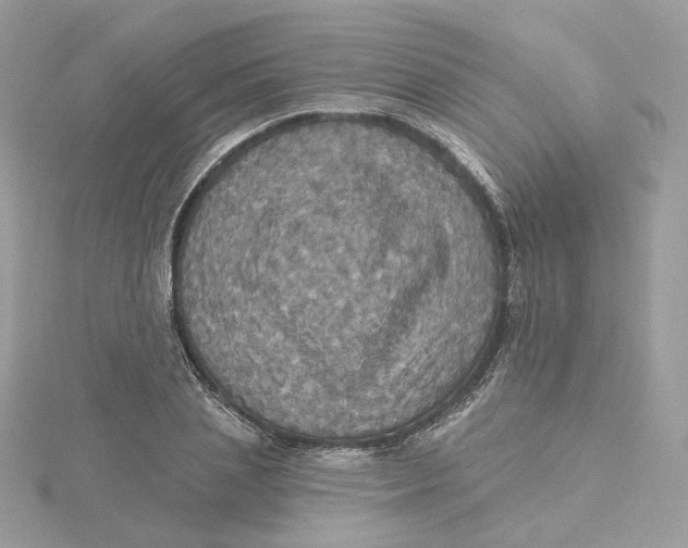 X0000115450837200911251305