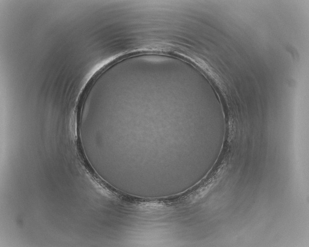 X0000115450838200911251305