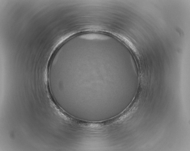 X0000115450839200911251305