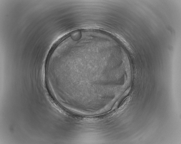 X0000115450840200911251305