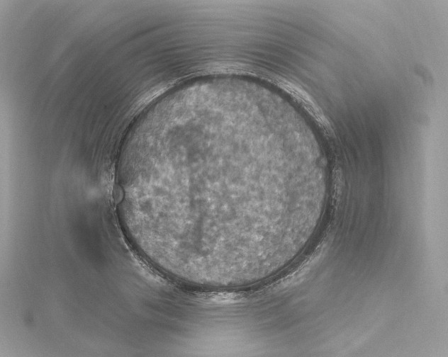 X0000115450841200911251305