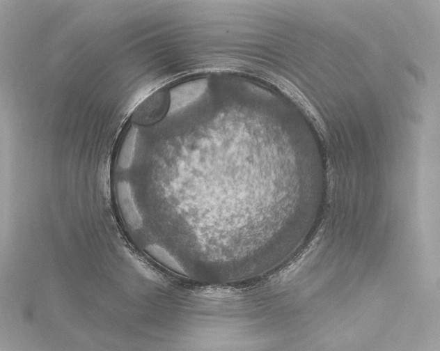 X0000115450842200911251305