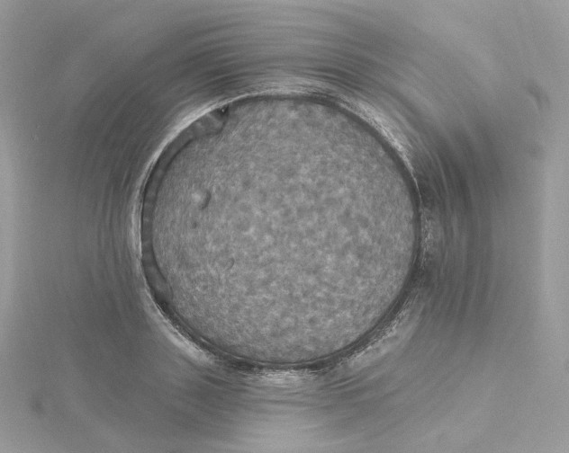 X0000115450843200911251305