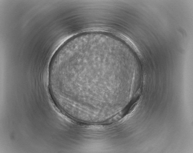 X0000115450844200911251305