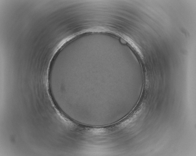 X0000115450845200911251305