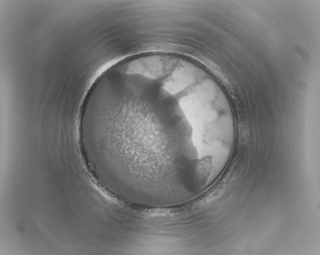 X0000115450846200911251305