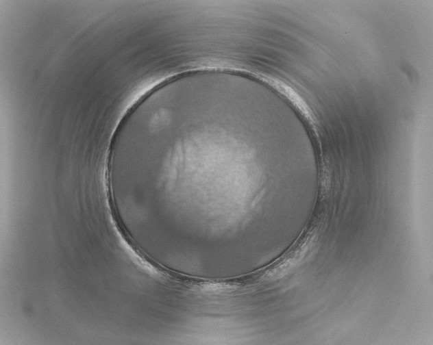 X0000115450847200911251305