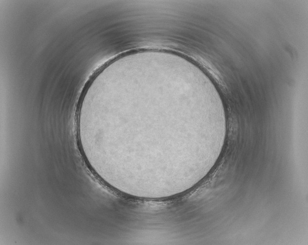 X0000115450848200911251305