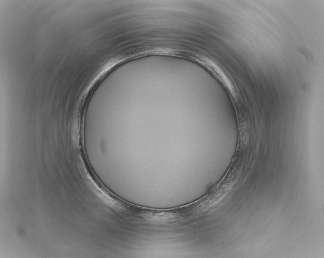 X0000115450851200911251305