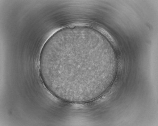 X0000115450852200911251305