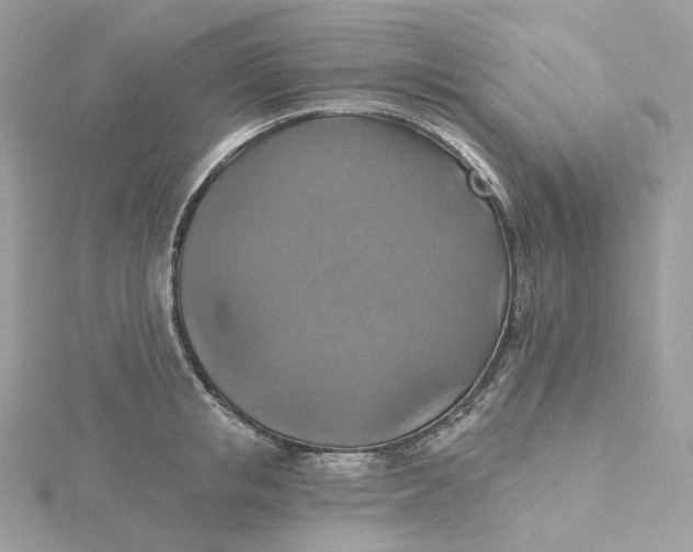 X0000115450853200911251305