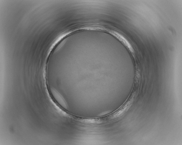 X0000115450855200911251305