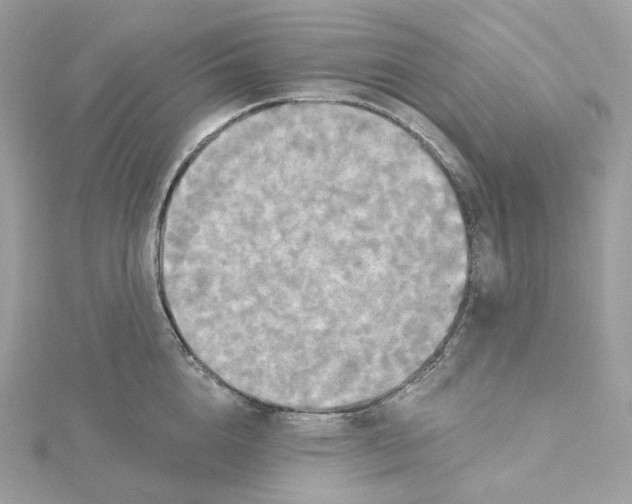 X0000115450856200911251305