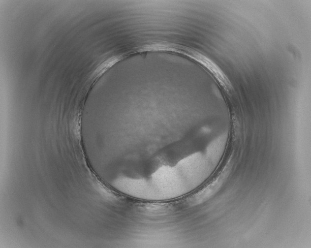 X0000115450857200911251305